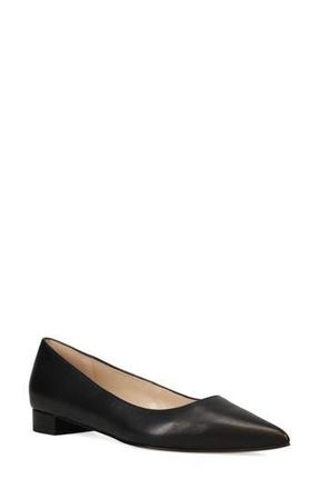 Pelle Moda Aaila Pointed Toe Flat in Black at Nordstrom Rack, Size 10