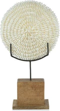 Zodax Natural Clamrose Sea Shell D&eacute;cor in Ivory/Natural at Nordstrom Rack