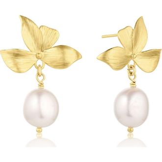 Set & Stones Maeve Pearl Drop Earrings in Gold /White at Nordstrom