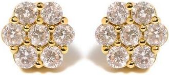 House of Brilliance 14K White Gold 3.0 Cttw Diamond Floral Cluster Stud Earring in Yellow at Nordstrom