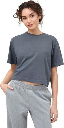 Richer Poorer Inc. The Relaxed Crop Tee in Blue Steel at Nordstrom, Size X-Large