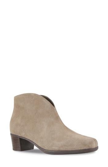 Munro Shelly Bootie in Almond Suede at Nordstrom Rack, Size