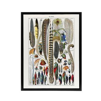 Artery8 Plumes Exotic Bird Feathers Millot Black Framed Canvas Wall Art in White | Size: W24 x H32