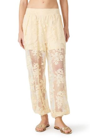 Steve Madden Faya Floral Lace Pants in Tropic Sands at Nordstrom, Size X-Small
