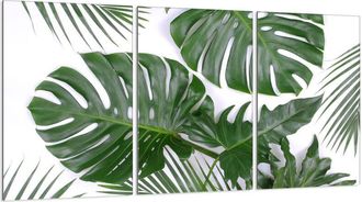 OEM Placa Protectora De Vidrio Para Estufa 3x30x52