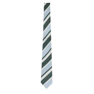 Tagliatore Ties, male, Green, Size: ONE SIZE Regimental Tie