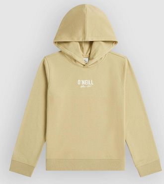 O'Neill Essentials Kids Hoodie groen