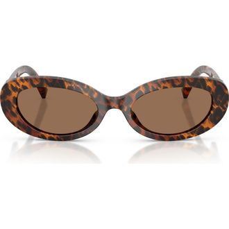 Dolce & Gabbana 53mm Oval Sunglasses in Leo Transparent/dark Brown at Nordstrom