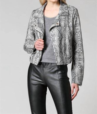 Fate Snake Print Blazer Jacket In Grey