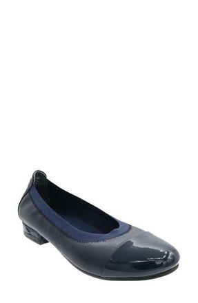 David Tate Nicole Cap Toe Flat in Navy /Bone Pat at Nordstrom, Size 8.5