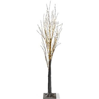 Tag 4Ft Twinkle LED Pine Tree Multicolor Holiday Decor in Multicolored at Nordstrom