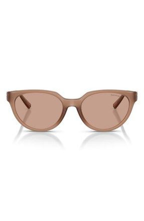 Tiffany & Co. 55mm Gradient Cat Eye Sunglasses in Coca Cola Sapphire /Brown at Nordstrom