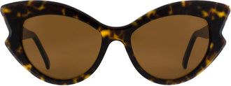 Andy Wolf Brown Acetate Womens Sunglasses