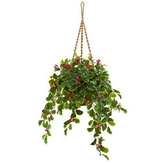 Nearly Natural 40-in Variegated Holly with Berries Artificial Plant in Hanging Basket in Green at Nordstrom