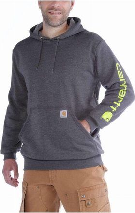 Carhartt Work in Progress Sudadera Con Capucha Logo Manga Gris Oscuro T.l - K288-026-l