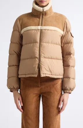 Moncler Aurore Genuine Shearling Trim Down Jacket in Brown at Nordstrom, Size 3