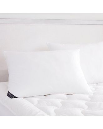 J. Queen New York Royalty 233 Soft Pillow Pair