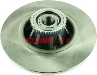 OEM Disco De Freno Trasero Ft31134 Fast