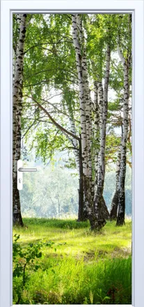 OEM Adhesivo De Tela Para Puerta Con Dise&ntilde;o De Bosque De Abedules 885pd