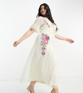 Asos Curve ASOS DESIGN Curve - Vestito midi a maniche corte in rete plumetis color avorio con ricamo-Bianco