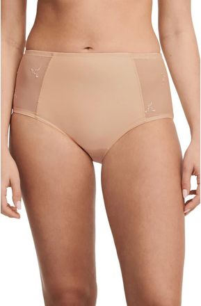 Chantelle Every Curve High Waist Briefs in Beige Blush-1N at Nordstrom, Size X-Large