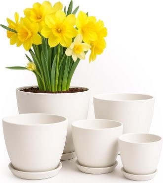 OEM Macetas De Interior Con Drenaje: Macetas De 7/6,6/6/5,3/4,8 Pulgadas, Aptas Para Plantar En Interiores. Juego De 5 Macetas De Pl&aacute;stico Blanco, Perfect