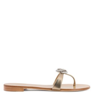 Giuseppe Zanotti Eligia
