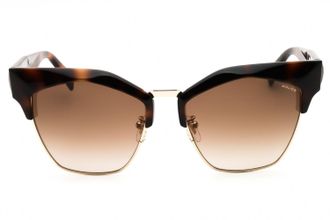 Police SPLN59 Sunglasses - Brown