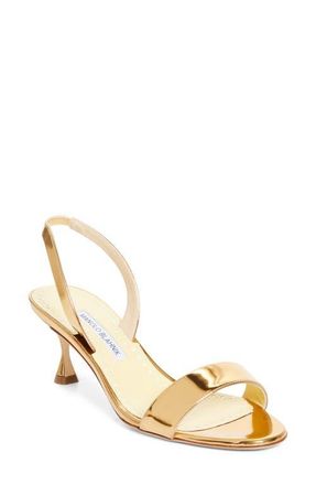 Manolo Blahnik Cupisanpla Metallic Slingback Sandal in Gold at Nordstrom, Size 10.5Us