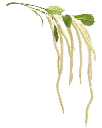 Melrose International Set Of 4 Amaranthus Floral Stem