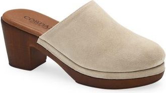 Cordani Wanda Clog in Corda Suede at Nordstrom, Size 4.5Us