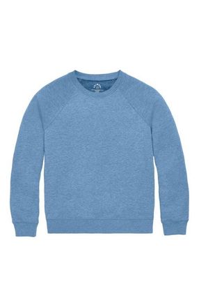 primary Adult Cozy Fleece Sweatshirt in Heather Vintage Blue at Nordstrom, Size X-Small