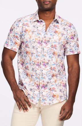 Robert Graham Short Sleeve Stretch Cotton Button-Up Shirt in White at Nordstrom Rack, Size Medium