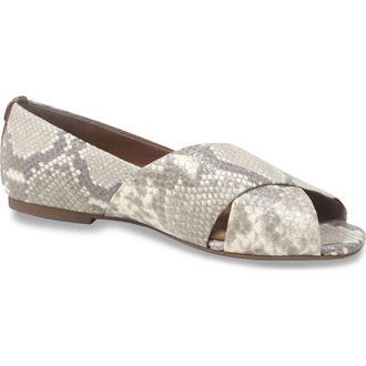 Gentle Souls Whoebe Flat in Taupe Snake at Nordstrom, Size 9.5