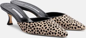 Manolo Blahnik Carolyne 50 leopard-print calf hair mules