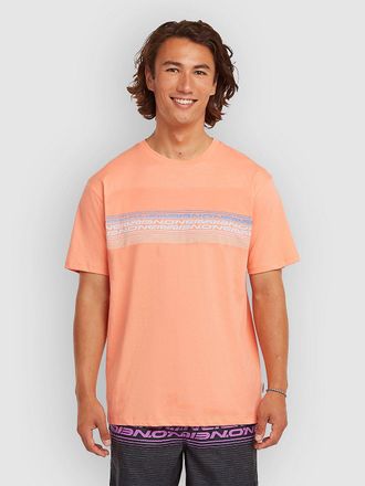 O'Neill Logo Stripe T-Shirt arancione