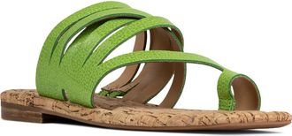 Donald J Pliner Hazie Toe Loop Sandal in Kiwi at Nordstrom, Size 6.5