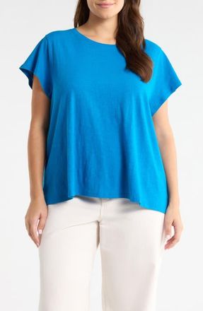 Eileen Fisher Crewneck Organic Cotton T-Shirt in Ibiza at Nordstrom, Size 3 X