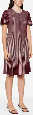 Emporio Armani Striped Ribbed Dress - Burgundy