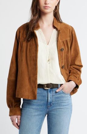 Treasure & Bond Suede Balloon Sleeve Jacket in Tan at Nordstrom, Size Small