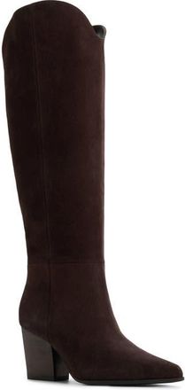 Aldo Kaely Knee High Boot in Dark Brown at Nordstrom, Size 7.5