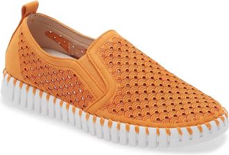 Ilse Jacobsen Womens Tulip 139 Shoe In Mango Sorbet