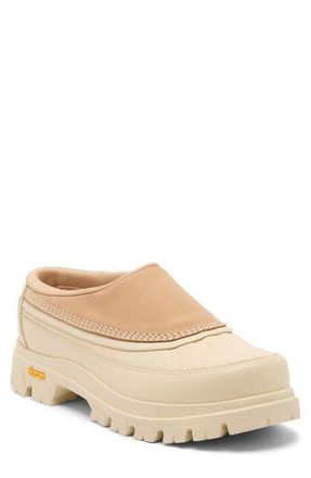 Sorel Daystorm Clog in Canoe/Bleached Ceramic at Nordstrom, Size 11.5