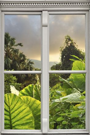 Queence Wandsticker »Regenwald« Wandsticker, Wandbild, selbstklebend, 3D, Fenster
