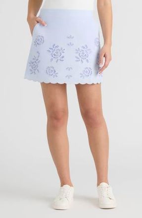 NVLT Cotton Eyelet Miniskirt in Cloud Blue at Nordstrom Rack, Size X-Large