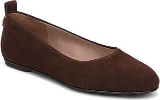 Naturalizer Ava Ballet Flat in Chocolate Suede at Nordstrom, Size 8.5