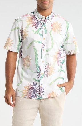 Kahala Night Shades Print Cotton Short Sleeve Button-Down Shirt in Off White at Nordstrom, Size Xx-Large