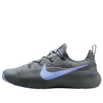Nike LeBron TR 1 Cool Gray Iron Gray Aluminum FJ6151-008