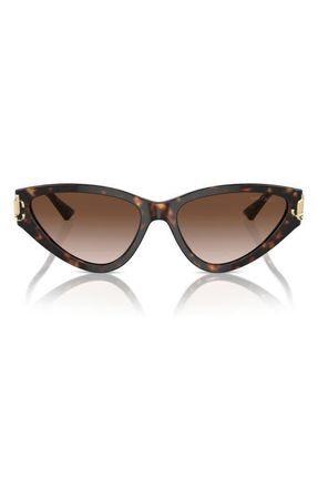 Jimmy Choo London 55mm Gradient Cat Eye Sunglasses in Havana /Gradient Brown at Nordstrom