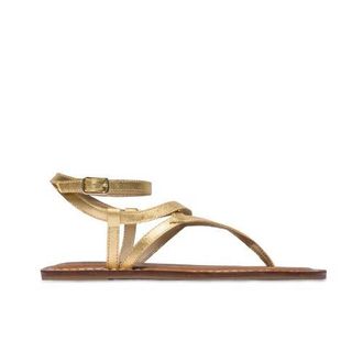 Bernardo Mallorie Thong Sandal in Gold at Nordstrom, Size 6.5